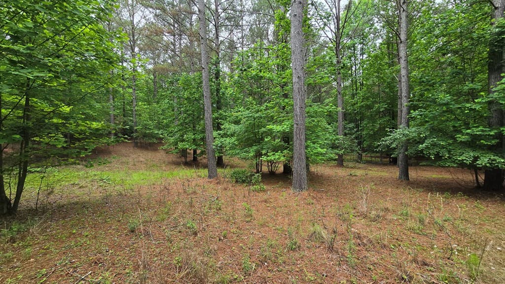 Lot 43 Loftis Mountain Way, Blairsville GA 30512 - Photo