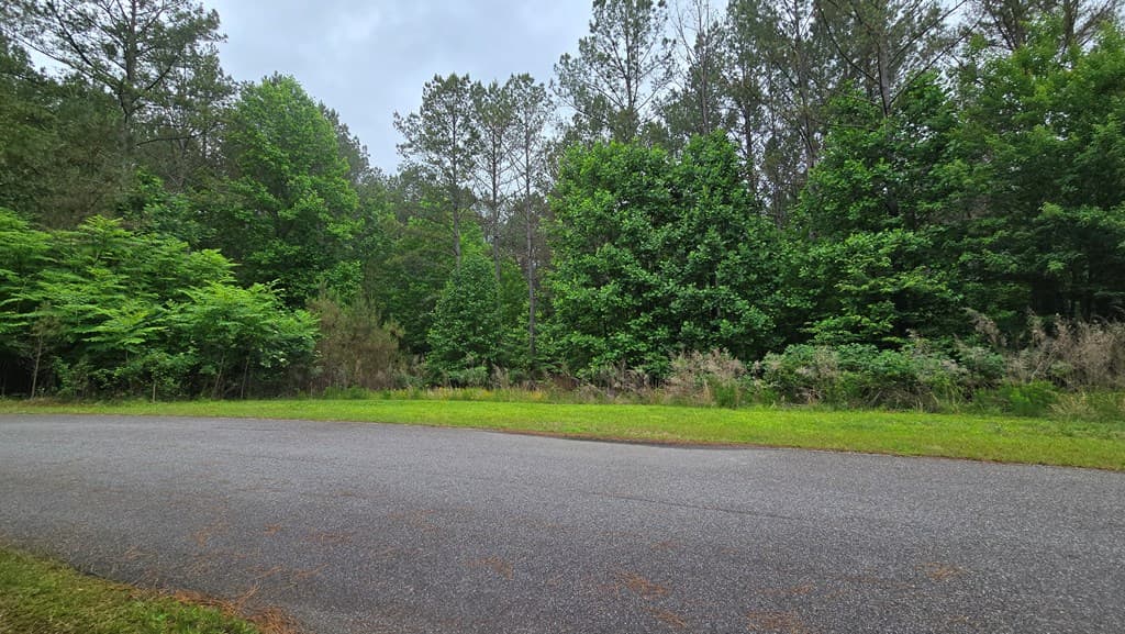 Lot 43 Loftis Mountain Way, Blairsville GA 30512 - Photo