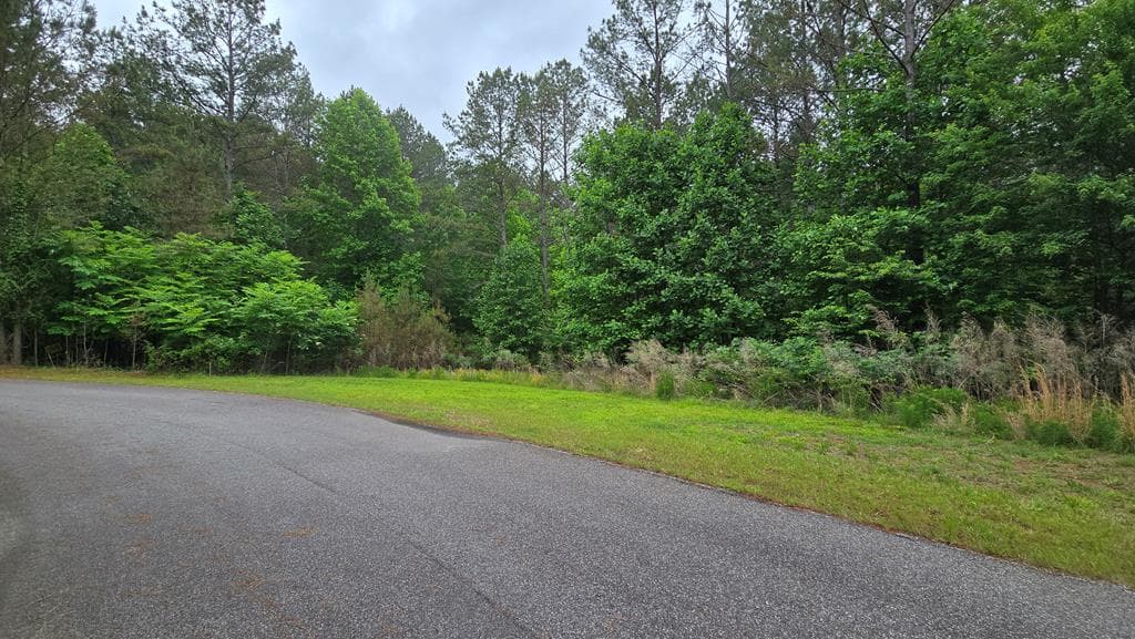 Lot 43 Loftis Mountain Way, Blairsville GA 30512 - Primary photo