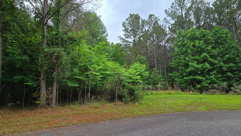 Lot 43 Loftis Mountain Way, Blairsville GA 30512 - Photo