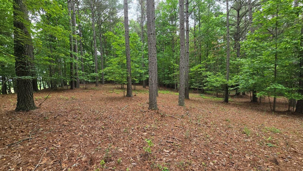 Lot 43 Loftis Mountain Way, Blairsville GA 30512 - Photo