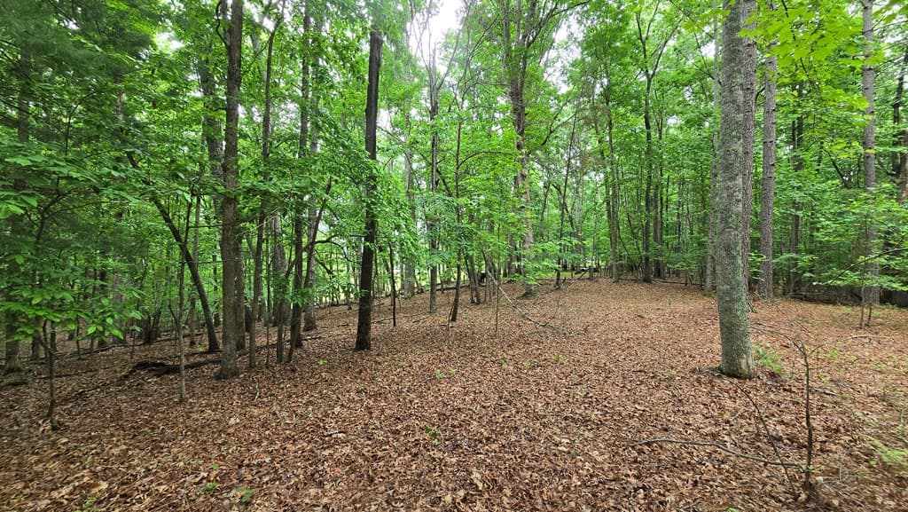 Lot 43 Loftis Mountain Way, Blairsville GA 30512 - Photo