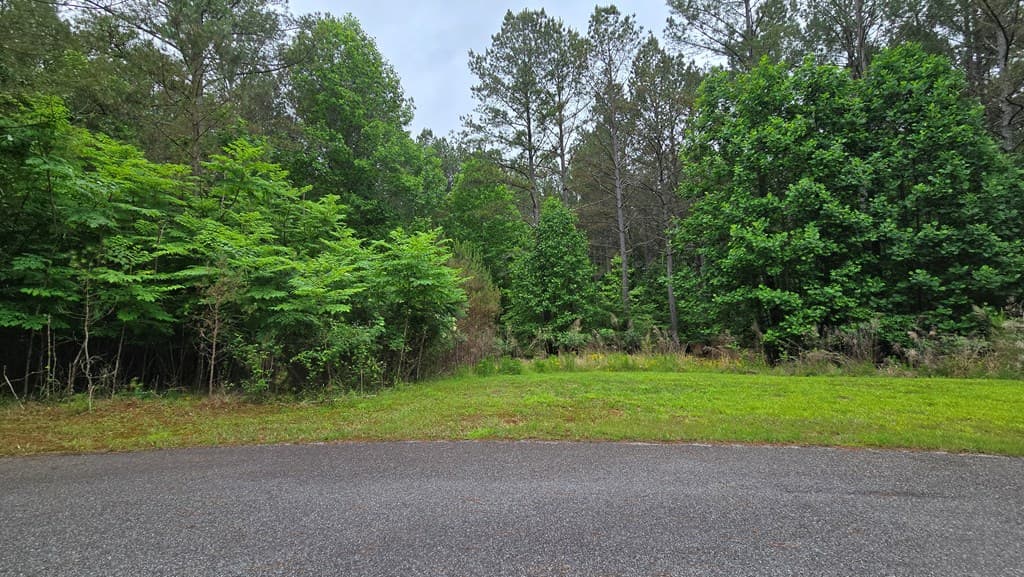 Lot 43 Loftis Mountain Way, Blairsville GA 30512 - Photo