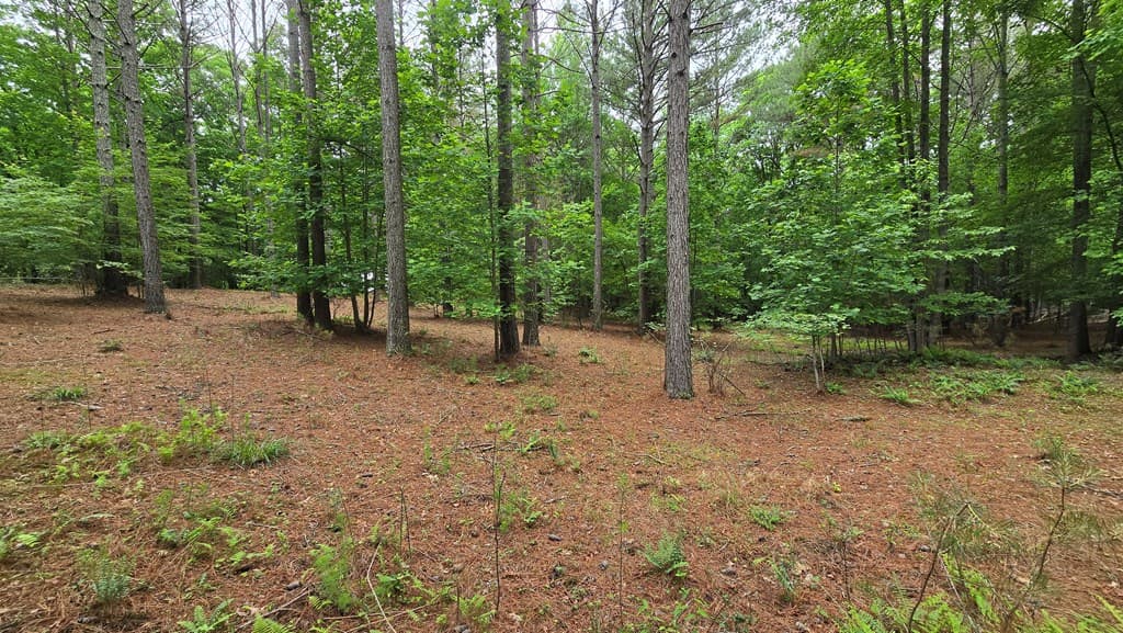 Lot 43 Loftis Mountain Way, Blairsville GA 30512 - Photo