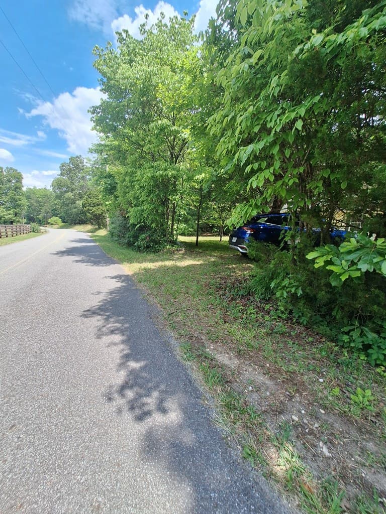 333 Lickskillet, Epworth GA 30541 - Photo