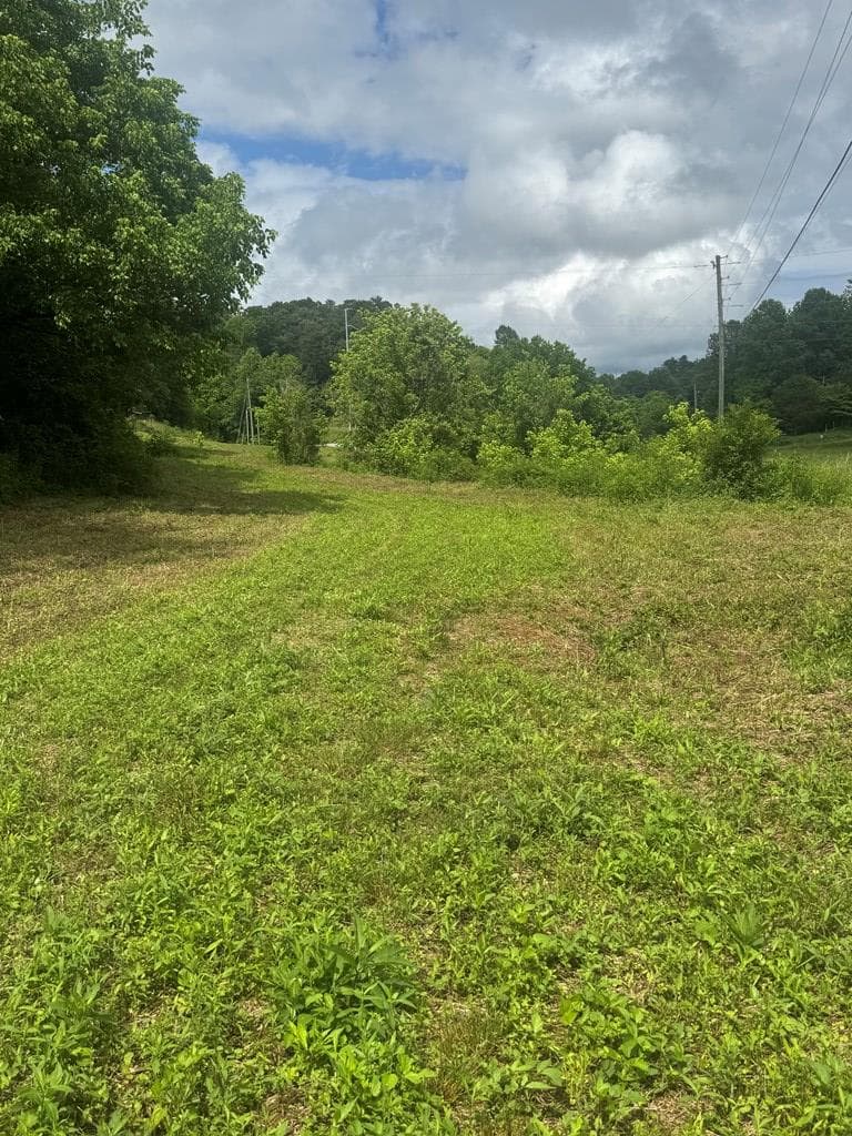 00 Tails Creek Road, Ellijay GA 30540 - Photo