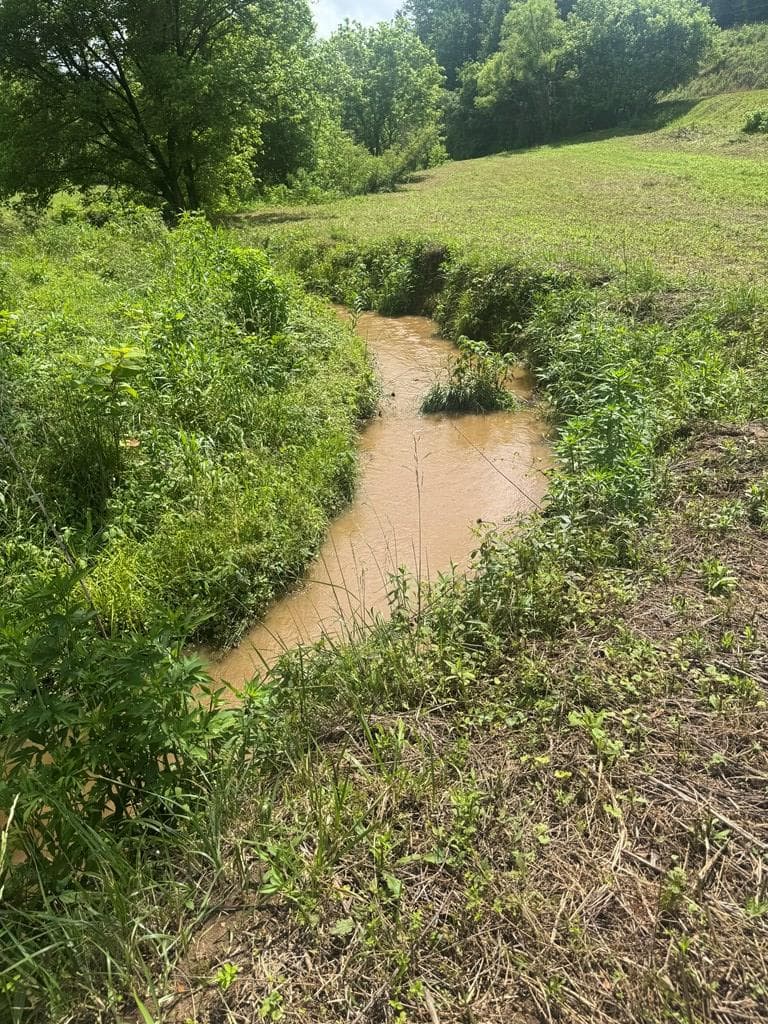00 Tails Creek Road, Ellijay GA 30540 - Photo