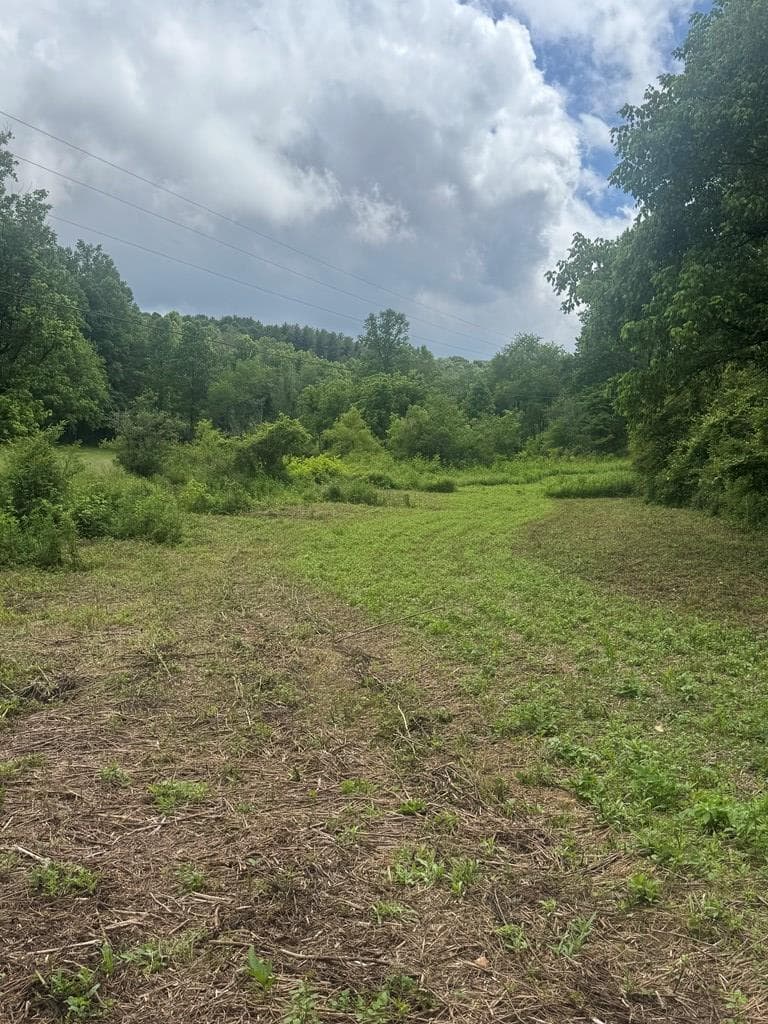 00 Tails Creek Road, Ellijay GA 30540 - Photo