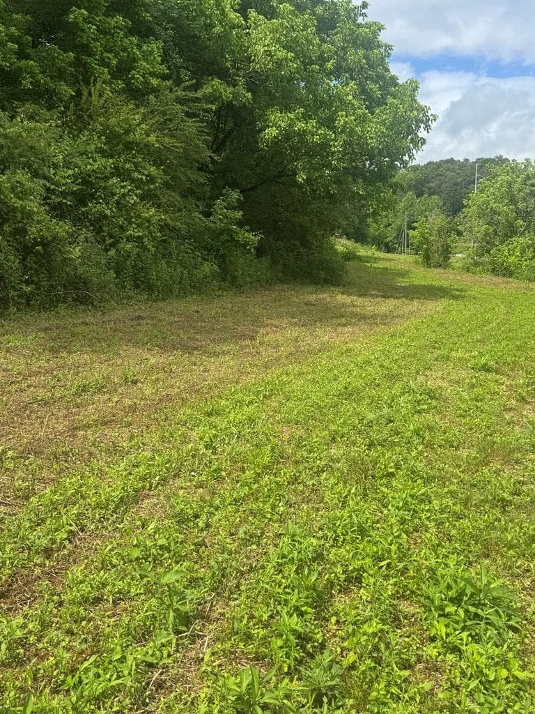 00 Tails Creek Road, Ellijay GA 30540 - Photo