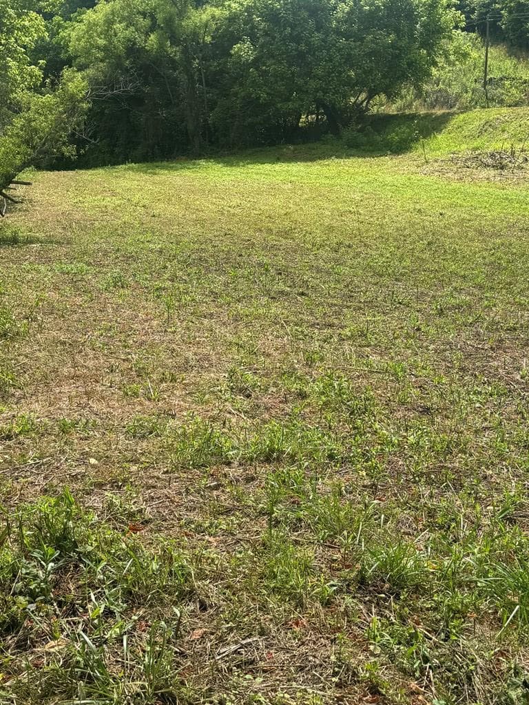00 Tails Creek Road, Ellijay GA 30540 - Photo