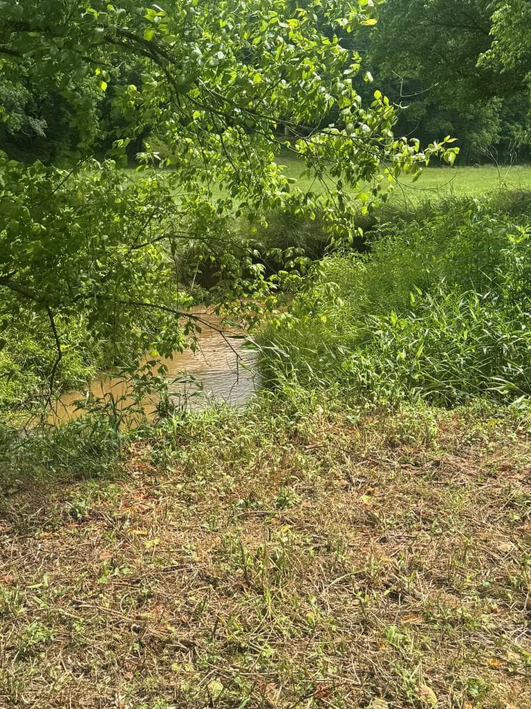 00 Tails Creek Road, Ellijay GA 30540 - Photo
