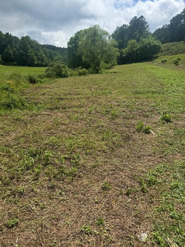 00 Tails Creek Road, Ellijay GA 30540 - Photo