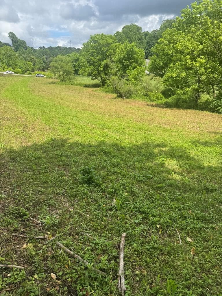 00 Tails Creek Road, Ellijay GA 30540 - Photo