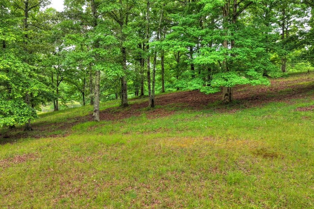 20.11 Ac Mountain View Road, Mccaysville GA 30555 - Photo