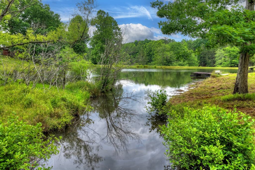 20.11 Ac Mountain View Road, Mccaysville GA 30555 - Photo
