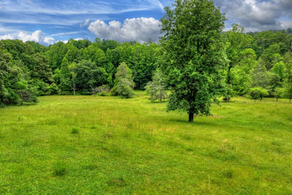 20.11 Ac Mountain View Road, Mccaysville GA 30555 - Photo