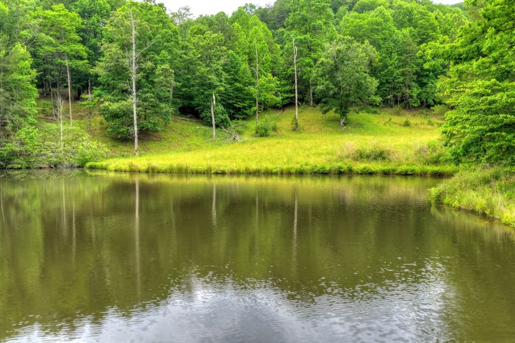 20.11 Ac Mountain View Road, Mccaysville GA 30555 - Photo