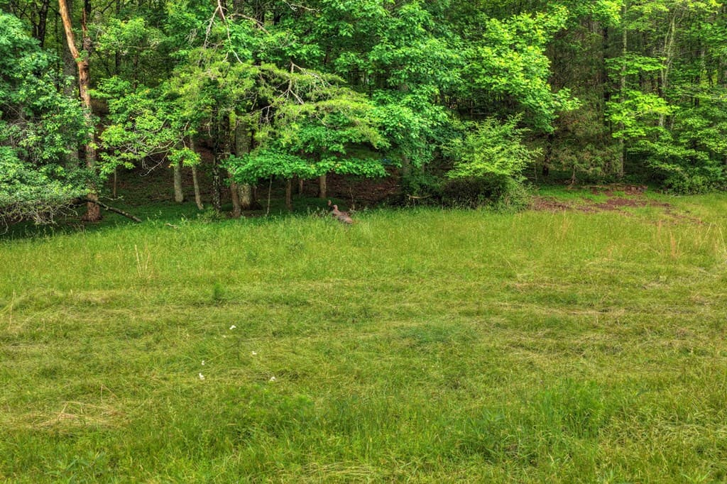 20.11 Ac Mountain View Road, Mccaysville GA 30555 - Photo