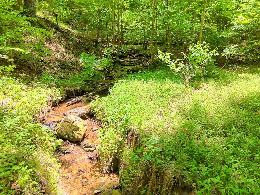 1127 Burch Branch Road, Hiawassee GA 30546 - Photo