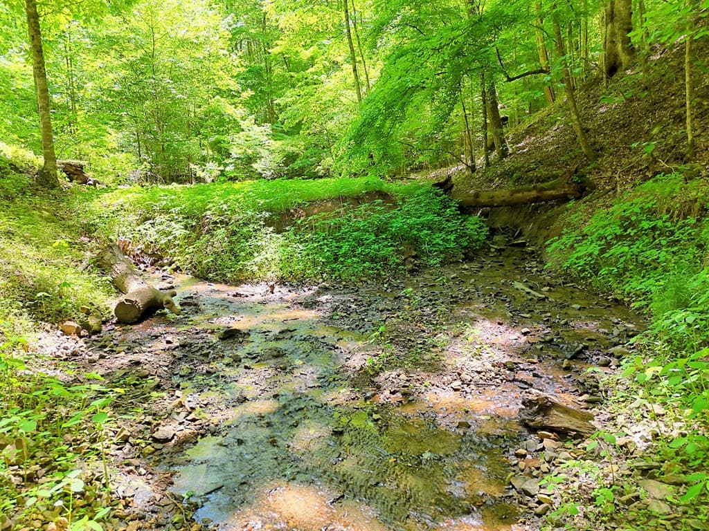 1127 Burch Branch Road, Hiawassee GA 30546 - Photo