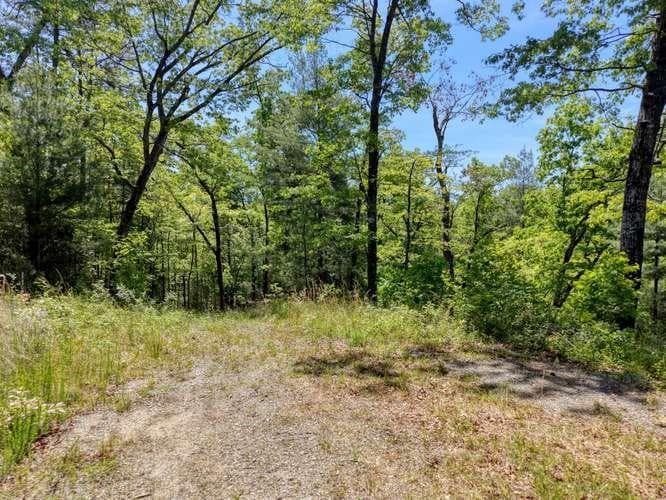 18 & 19 Sarvis Road, Hayesville NC 28904 - Photo