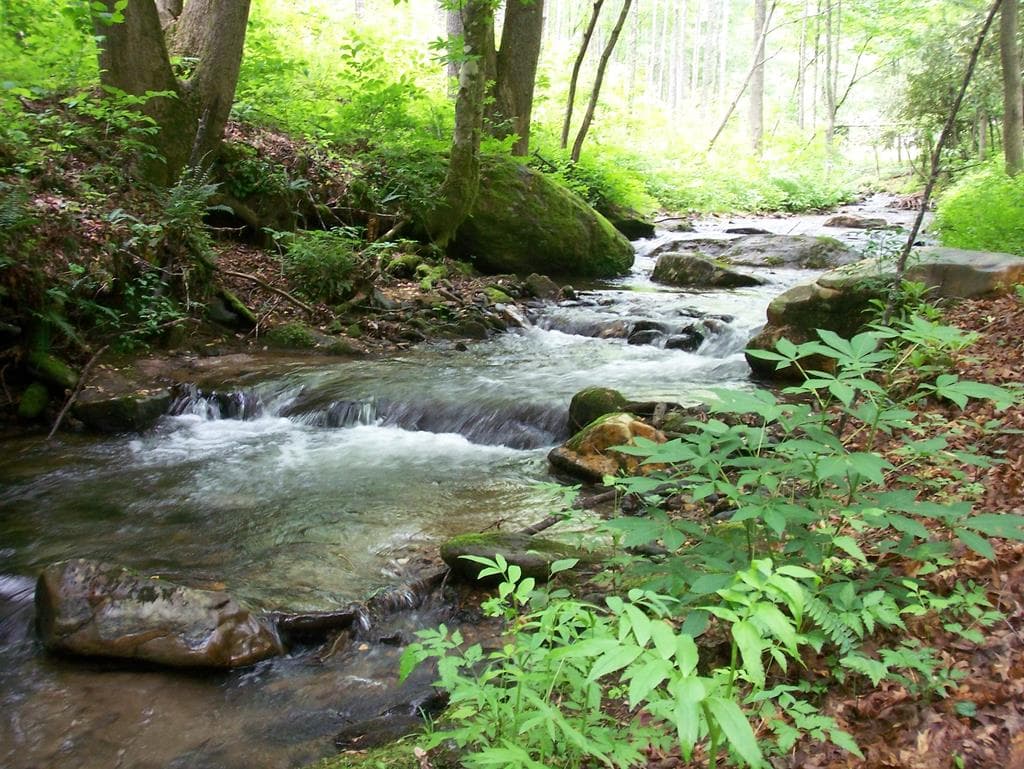 18 & 19 Sarvis Road, Hayesville NC 28904 - Photo