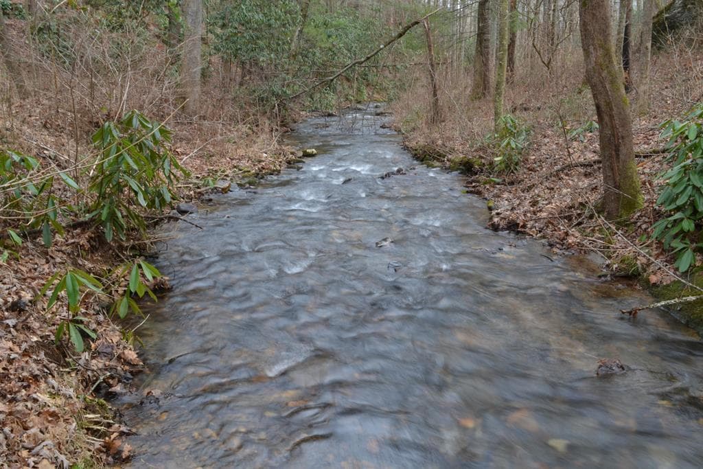 18 & 19 Sarvis Road, Hayesville NC 28904 - Primary photo