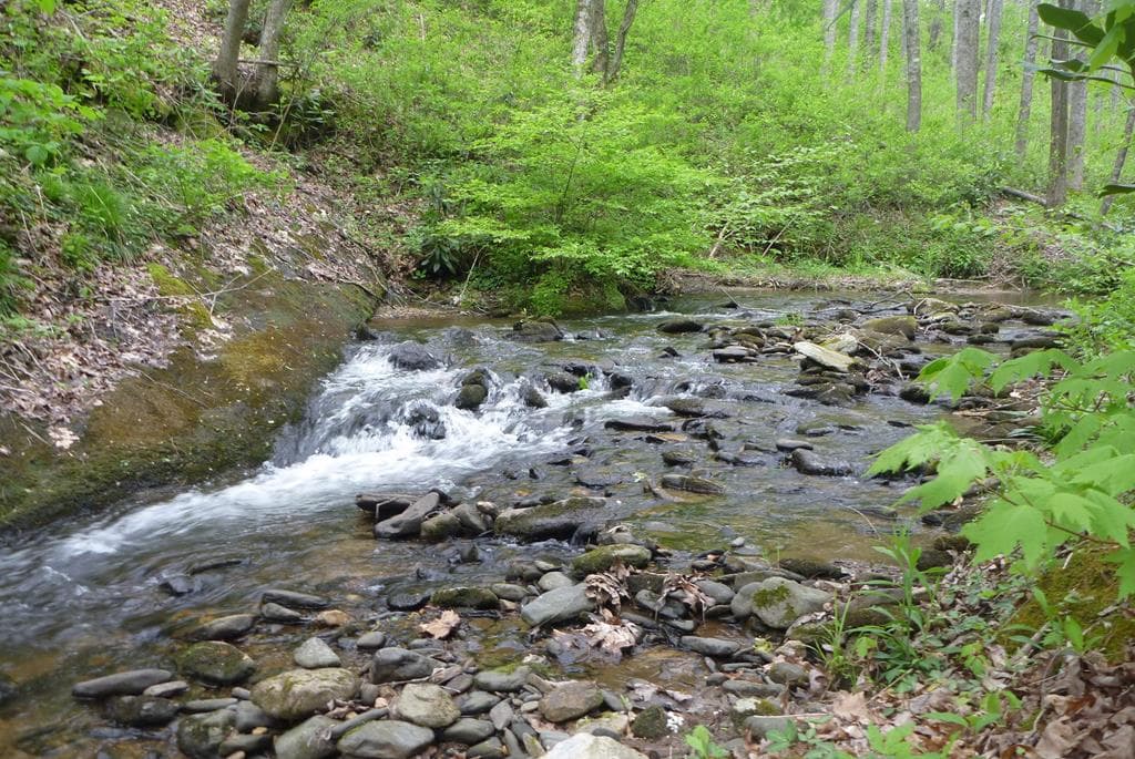 18 & 19 Sarvis Road, Hayesville NC 28904 - Photo