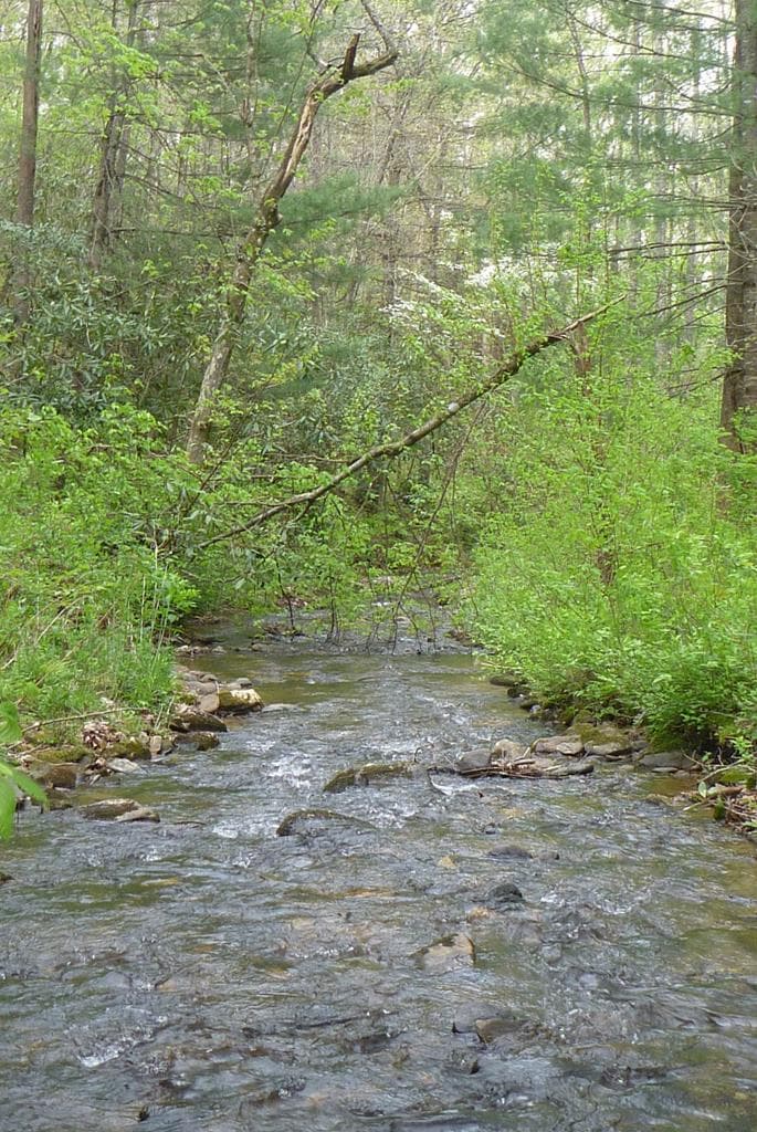 18 & 19 Sarvis Road, Hayesville NC 28904 - Photo