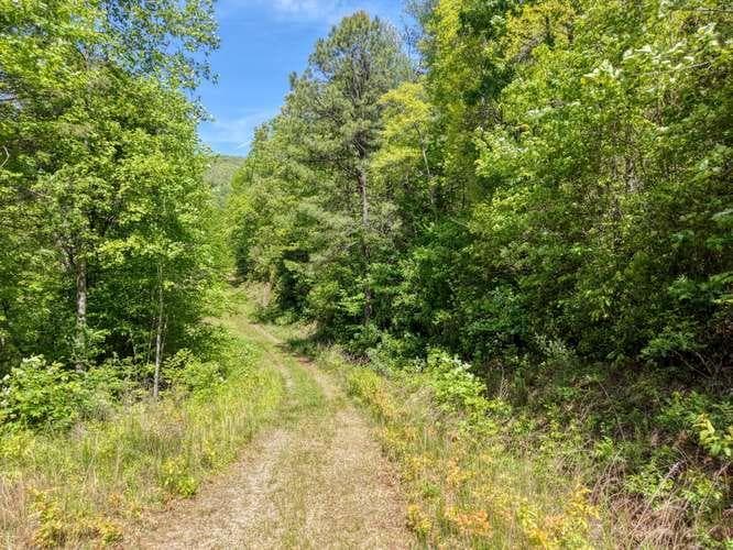 18 & 19 Sarvis Road, Hayesville NC 28904 - Photo