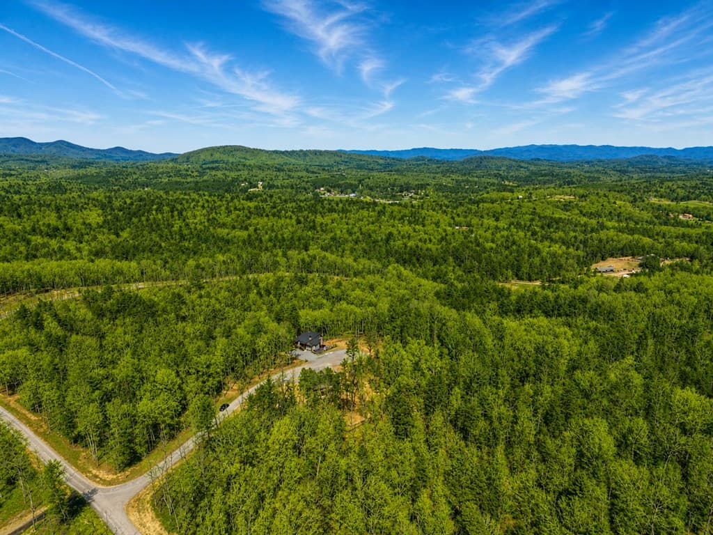 78 Hilltop Way, Mineral Bluff GA 30559 - Photo