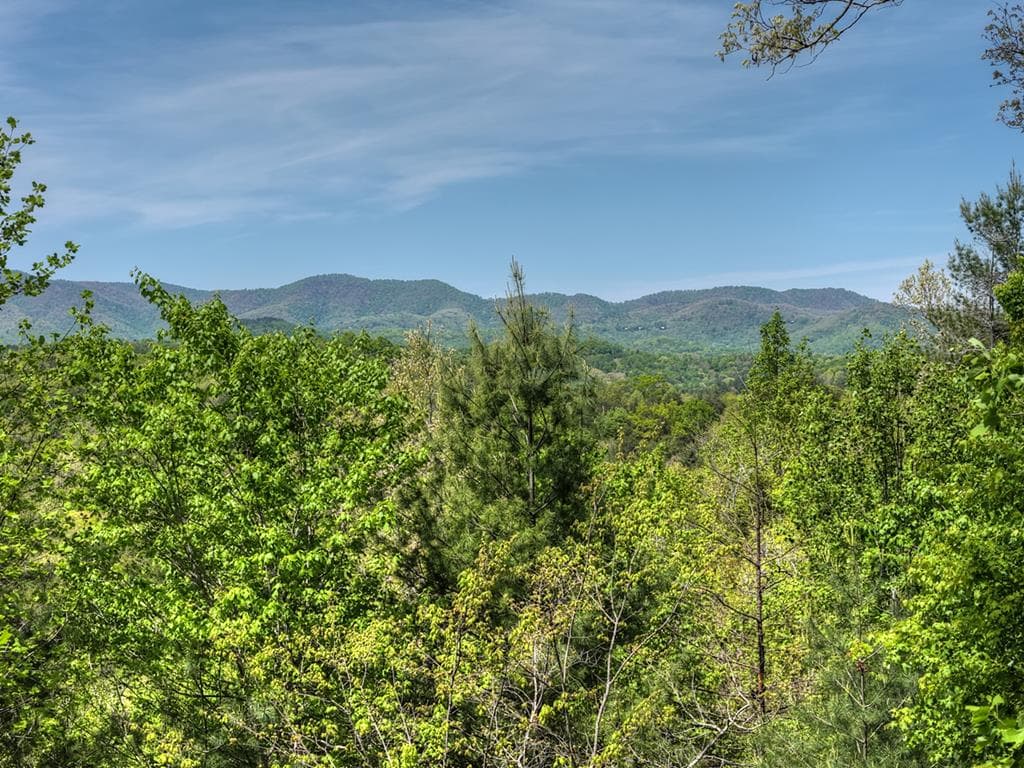 89 N Whitepath Circle, Ellijay GA 30540 - Photo