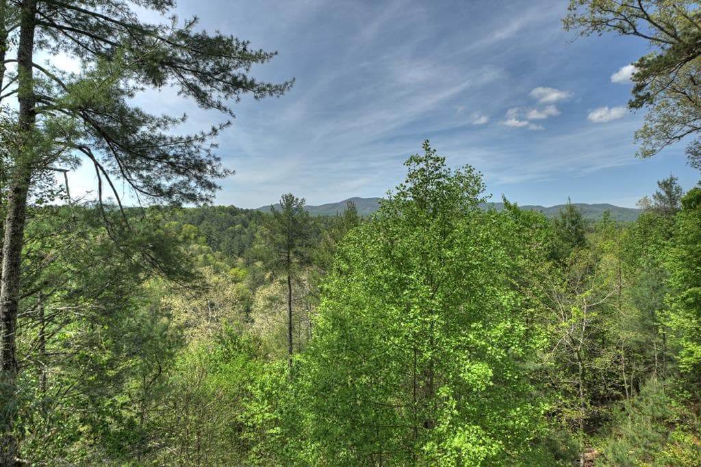 89 N Whitepath Circle, Ellijay GA 30540 - Photo
