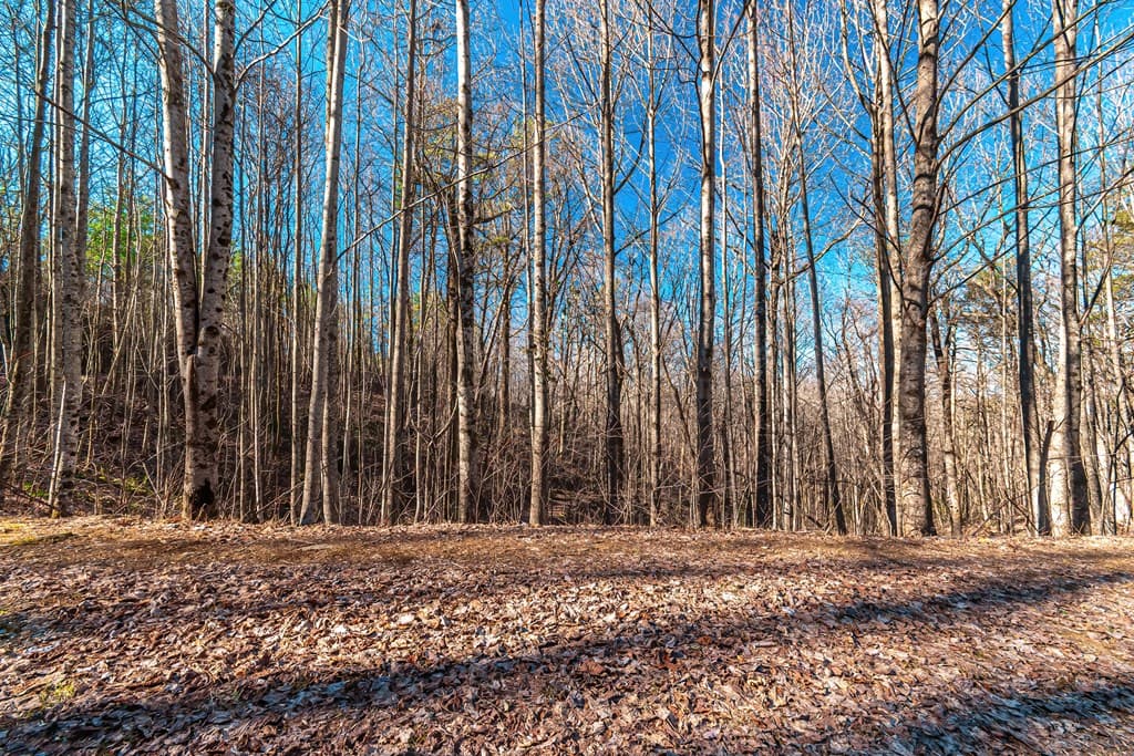 Lot 136 St Andrews Way, Ellijay GA 30536 - Photo