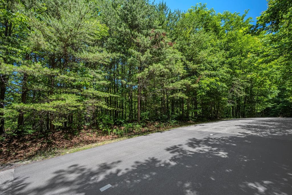 Lot 136 St Andrews Way, Ellijay GA 30536 - Photo