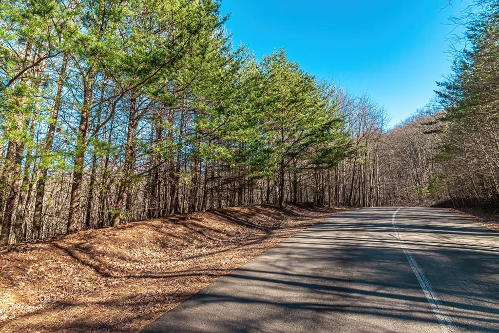 Lot 136 St Andrews Way, Ellijay GA 30536 - Photo
