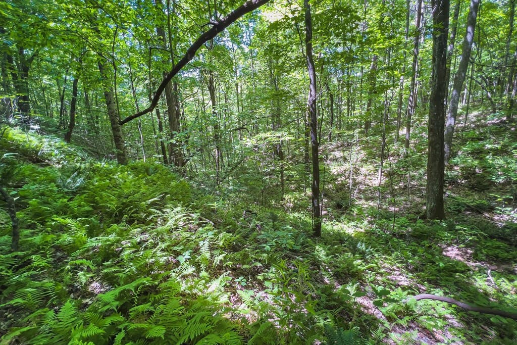 Lot 136 St Andrews Way, Ellijay GA 30536 - Photo
