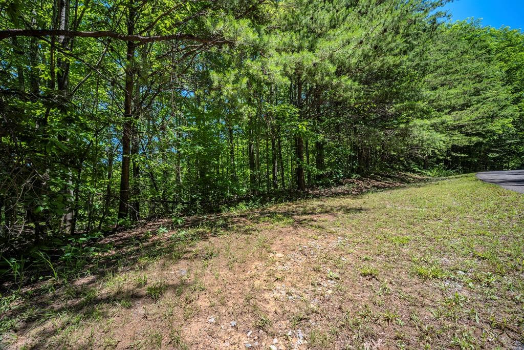 Lot 136 St Andrews Way, Ellijay GA 30536 - Photo