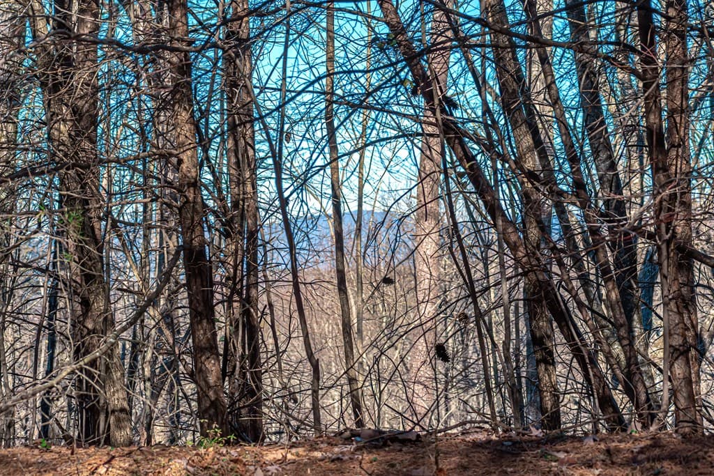 Lot 136 St Andrews Way, Ellijay GA 30536 - Photo