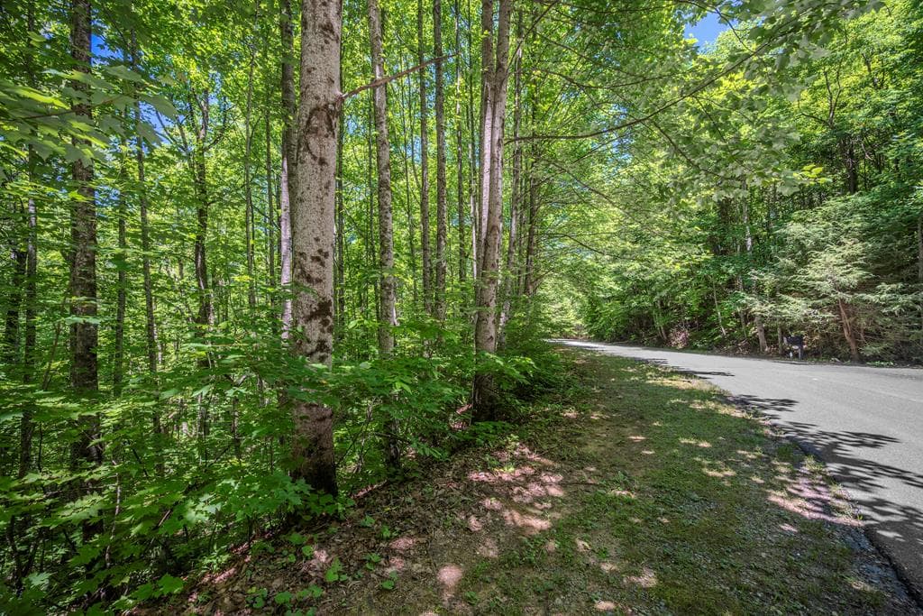 Lot 136 St Andrews Way, Ellijay GA 30536 - Photo