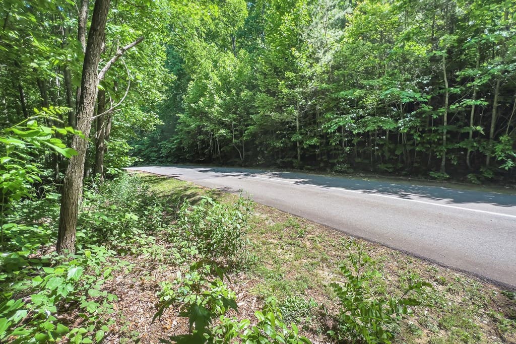 Lot 136 St Andrews Way, Ellijay GA 30536 - Photo