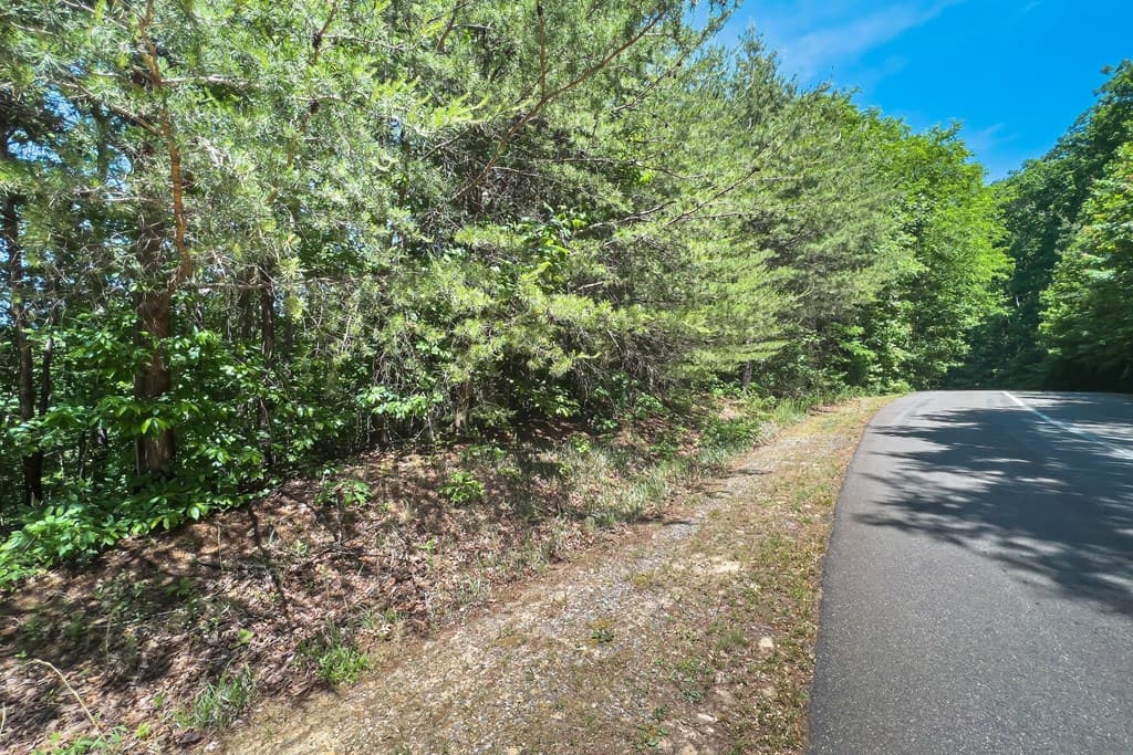 Lot 136 St Andrews Way, Ellijay GA 30536 - Photo
