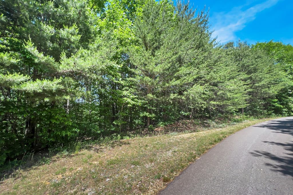 Lot 136 St Andrews Way, Ellijay GA 30536 - Photo