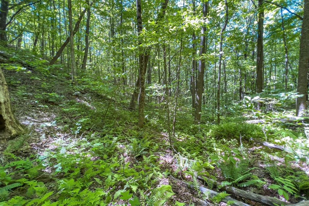 Lot 136 St Andrews Way, Ellijay GA 30536 - Photo