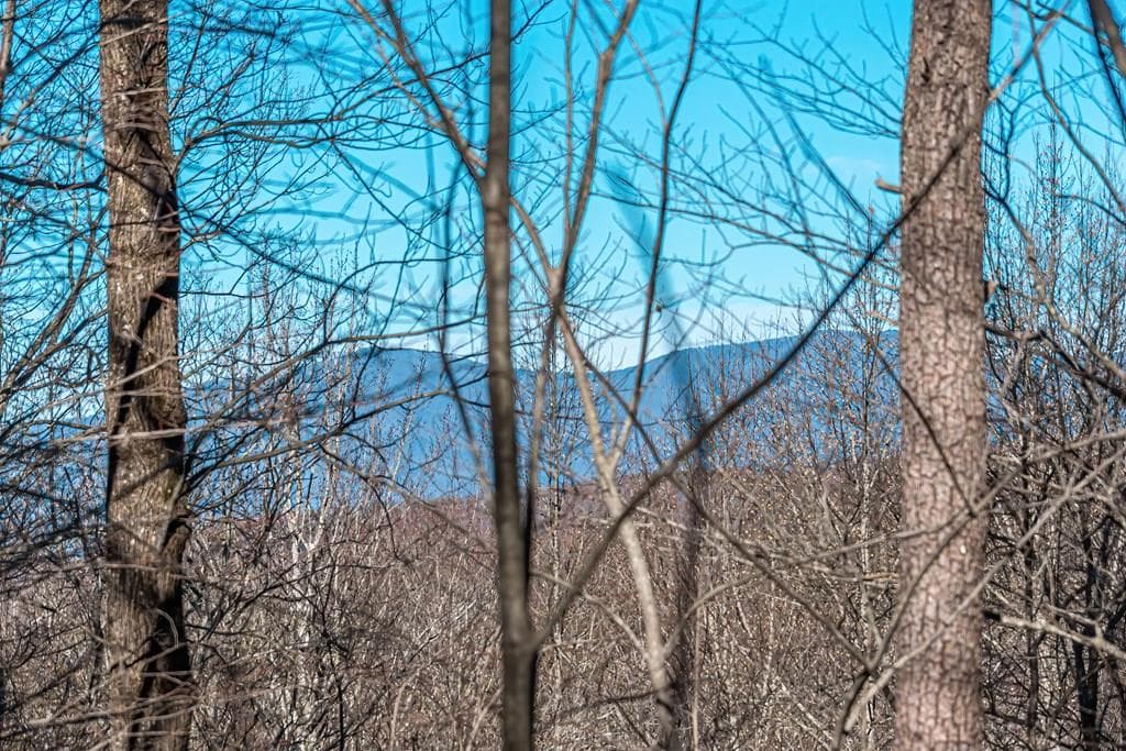 Lot 136 St Andrews Way, Ellijay GA 30536 - Primary photo