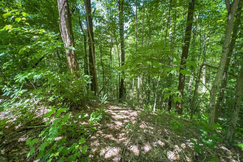 Lot 136 St Andrews Way, Ellijay GA 30536 - Photo
