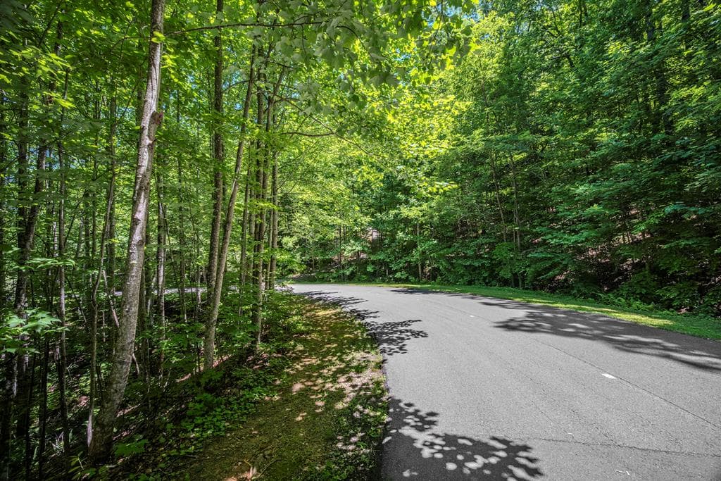 Lot 136 St Andrews Way, Ellijay GA 30536 - Photo