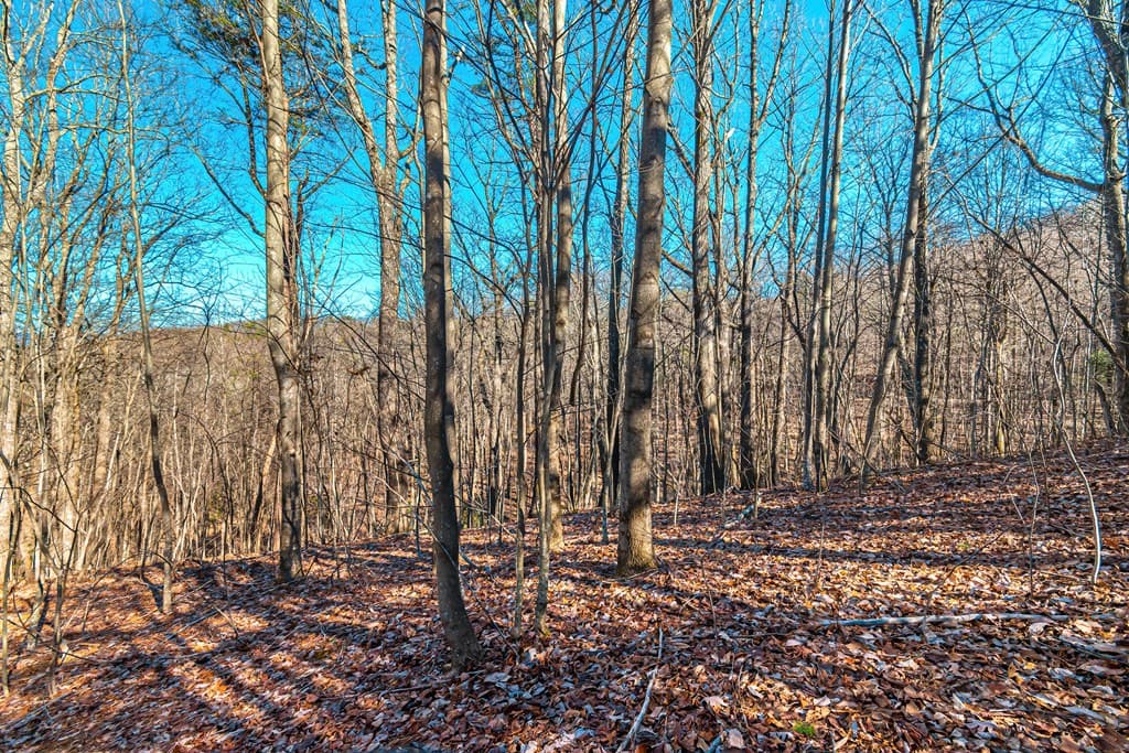 Lot 136 St Andrews Way, Ellijay GA 30536 - Photo