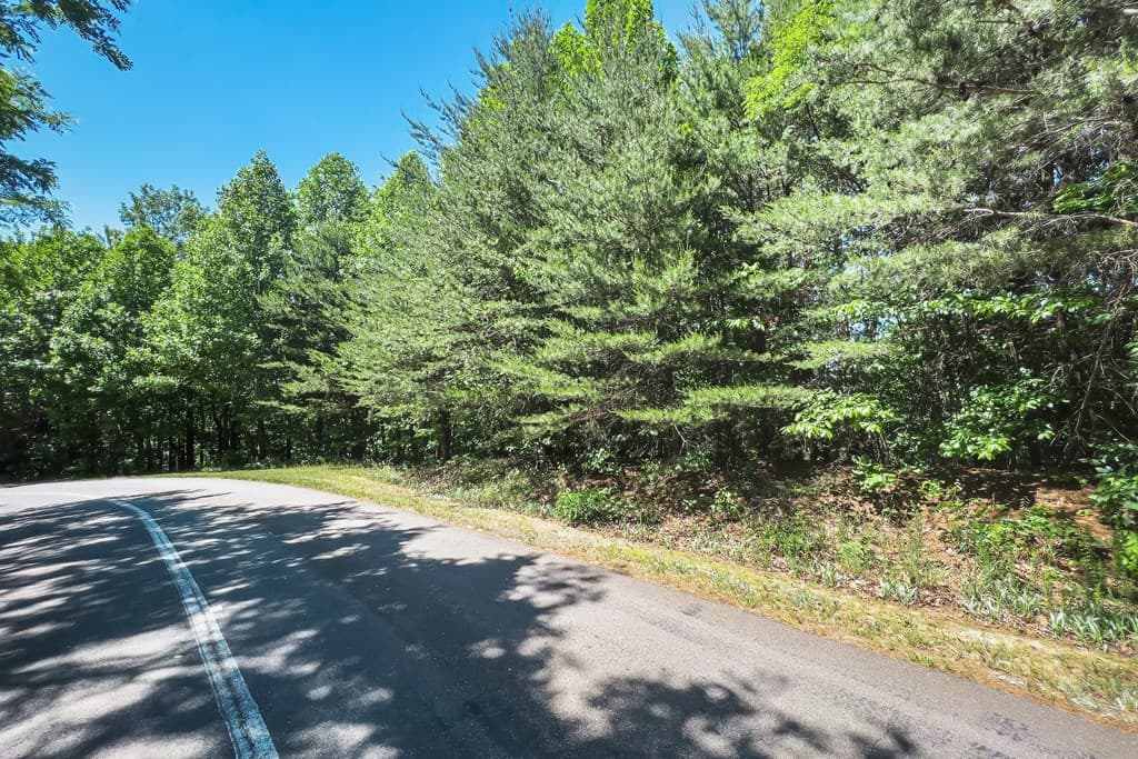 Lot 136 St Andrews Way, Ellijay GA 30536 - Photo