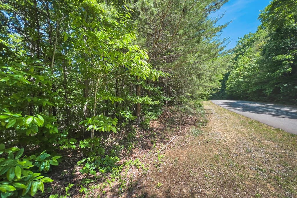 Lot 136 St Andrews Way, Ellijay GA 30536 - Photo